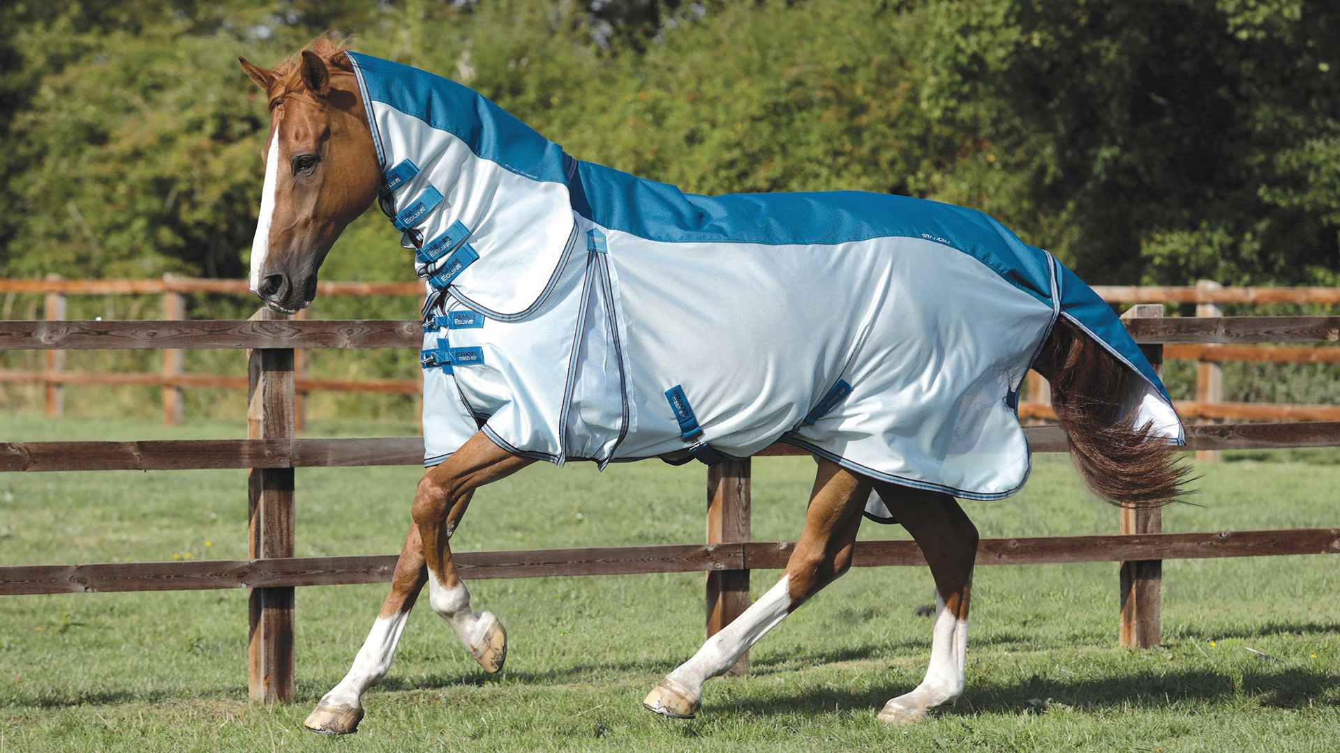 Premier Equine Fly Rugs