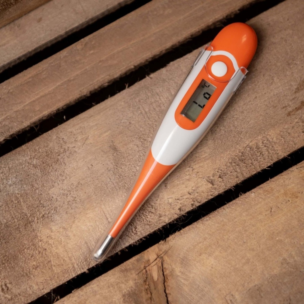 Smart Grooming Thermometer