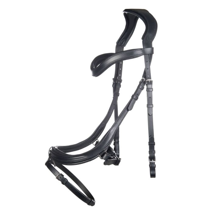 HKM Bridle -Anatomic