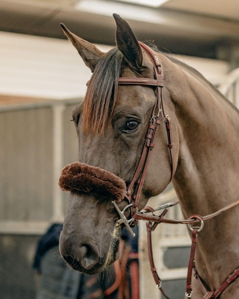 KM Elite Noseband Cover -  Teddy Soft