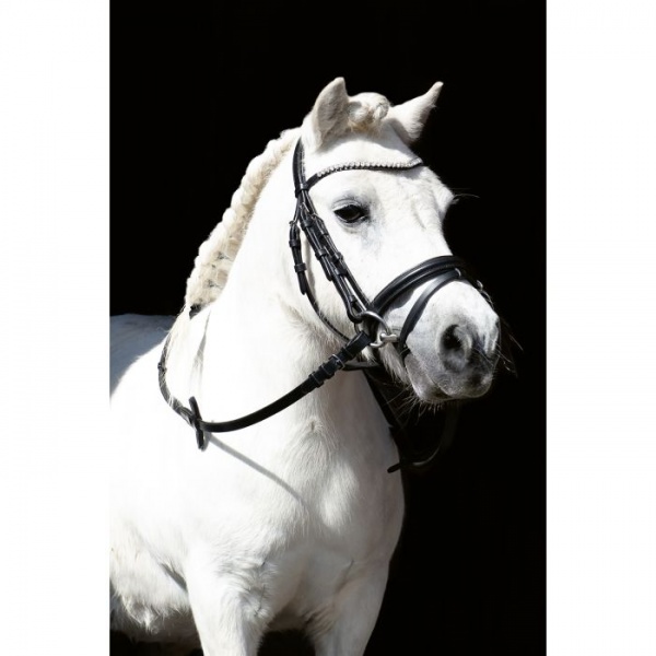 HKM Bridle -Shetty Diamond- shetland pony size