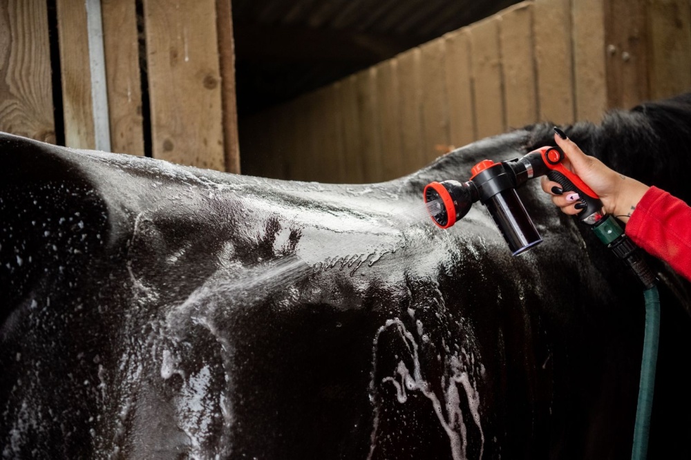 Smart Grooming Ultimate Wash Gun