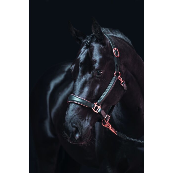 HKM Leather Headcollar - Rosegold