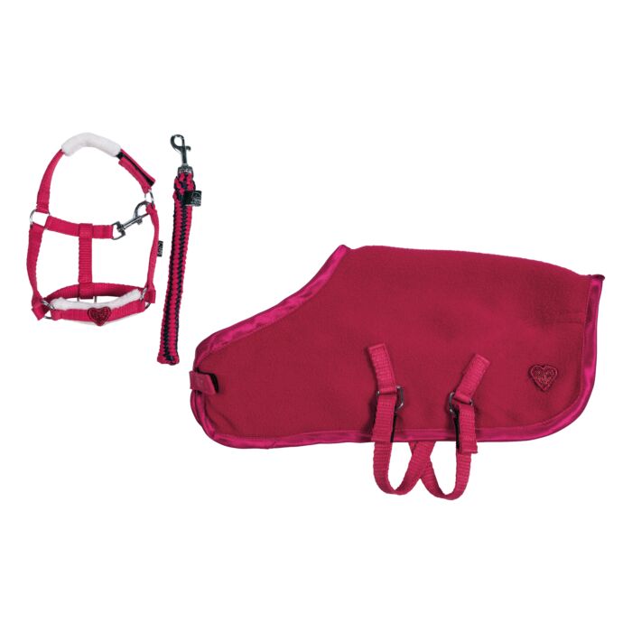 HKM Cuddle Pony- Starter Set