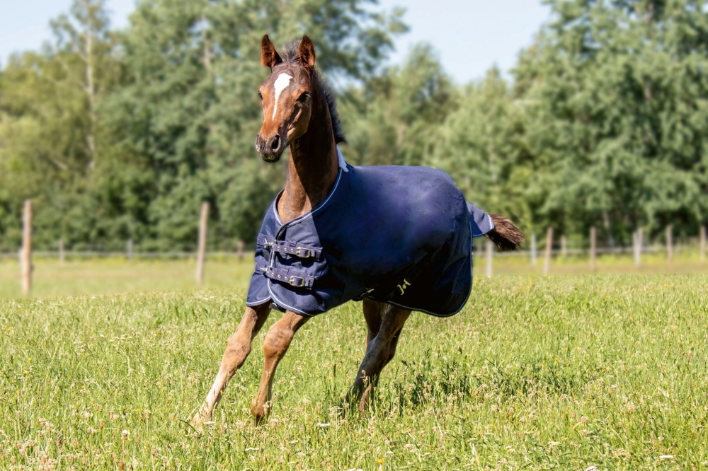 HKM Foal Rug - Professional with Fleece Lining