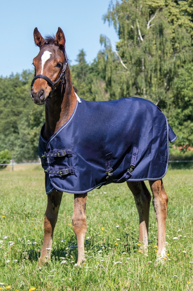 HKM Foal Rug - Professional with Fleece Lining