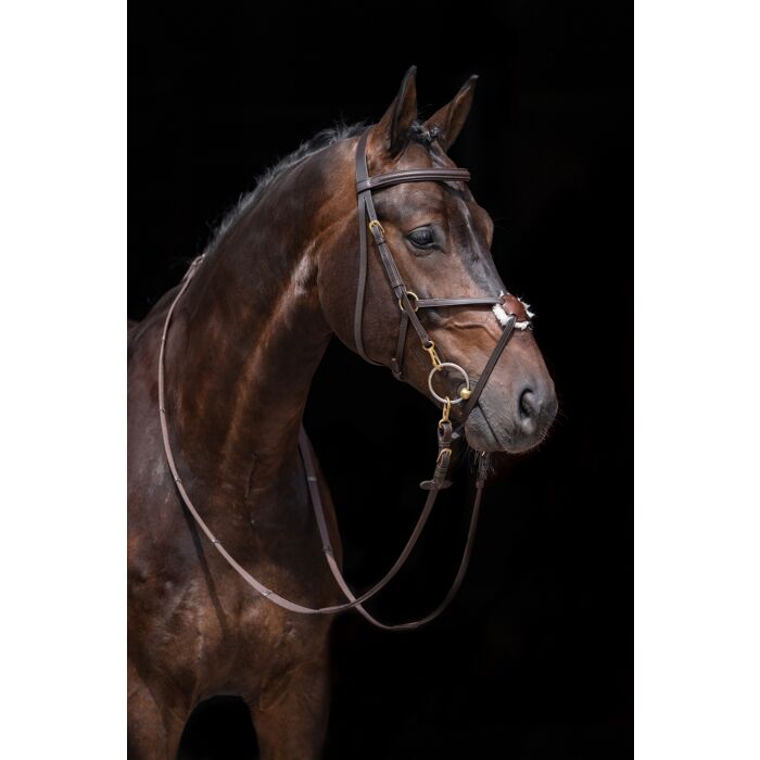 HKM Mexican padded Grackle Bridle