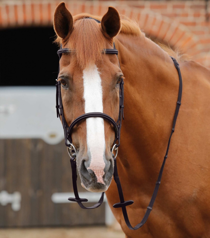 Premier Equine Altare Web Reins