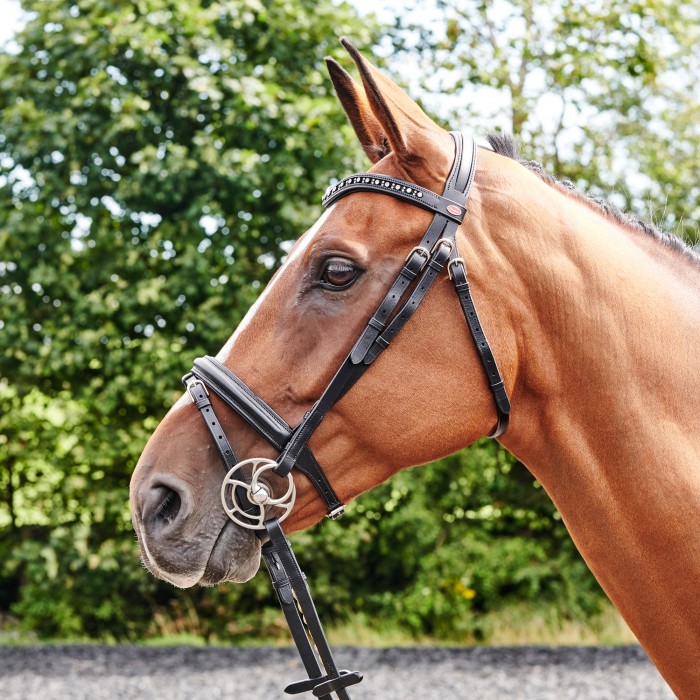 Whitaker Lynton Snaffle Bridle With Spare Browband