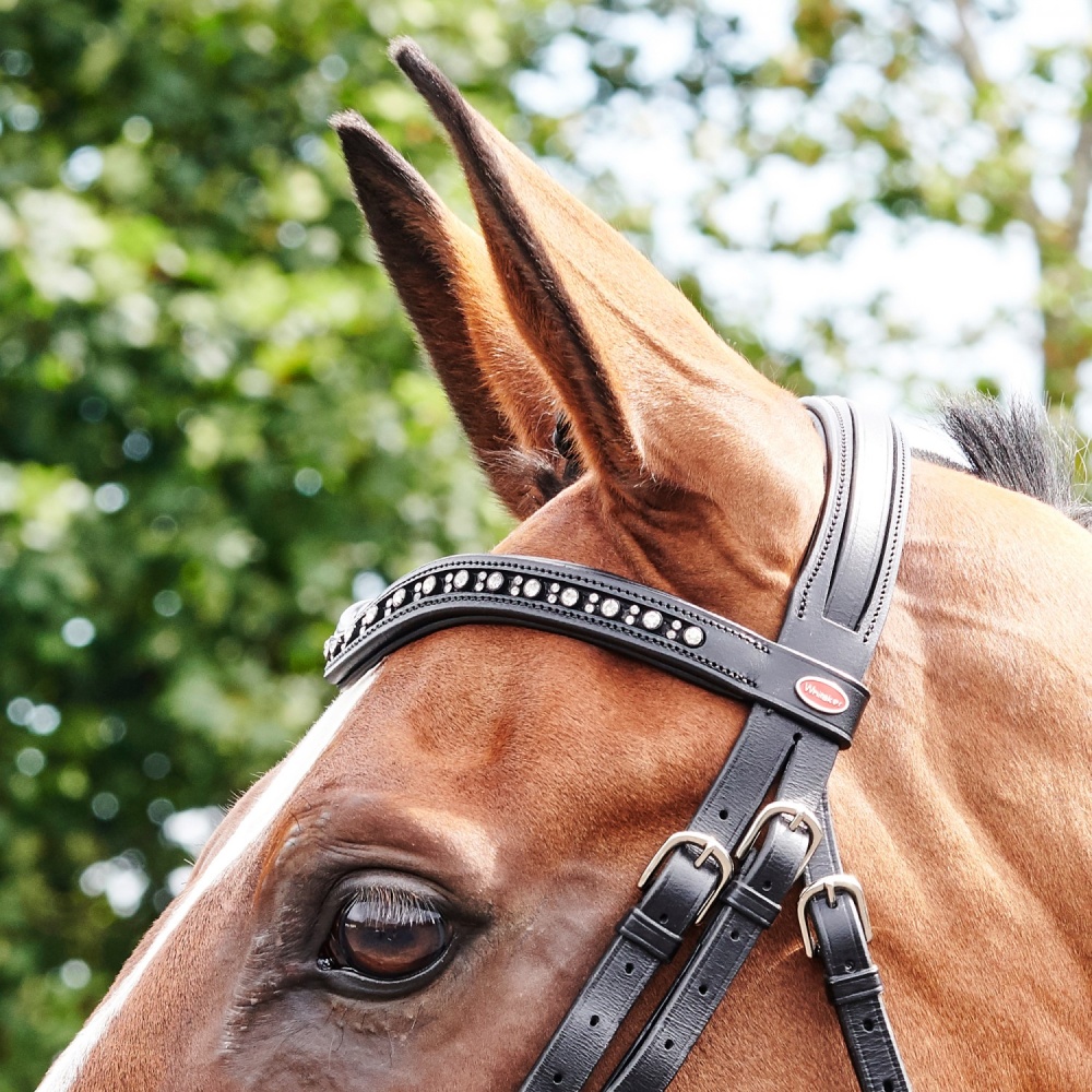 Whitaker Lynton Snaffle Bridle With Spare Browband