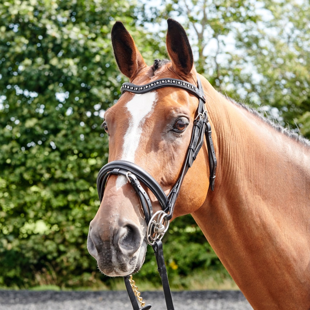 Whitaker Lynton Snaffle Bridle With Spare Browband