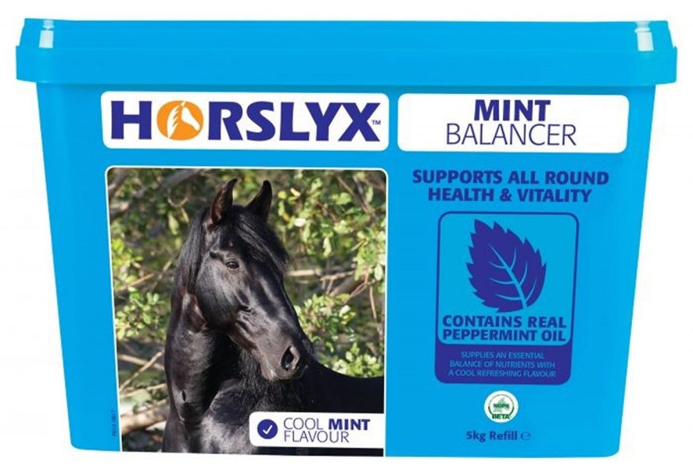 Horslyx Mint Balancer