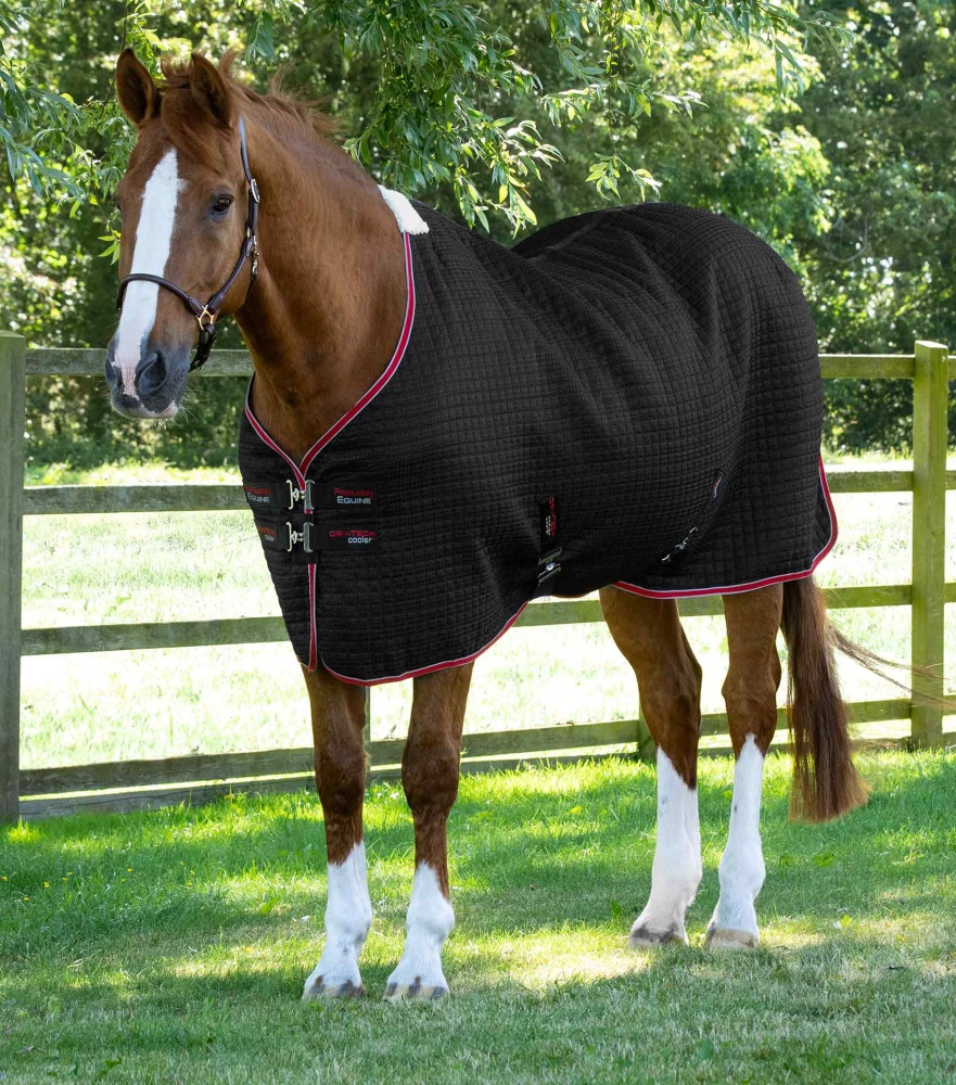 Premier Equine Dry-Tech Horse Cooler Rug