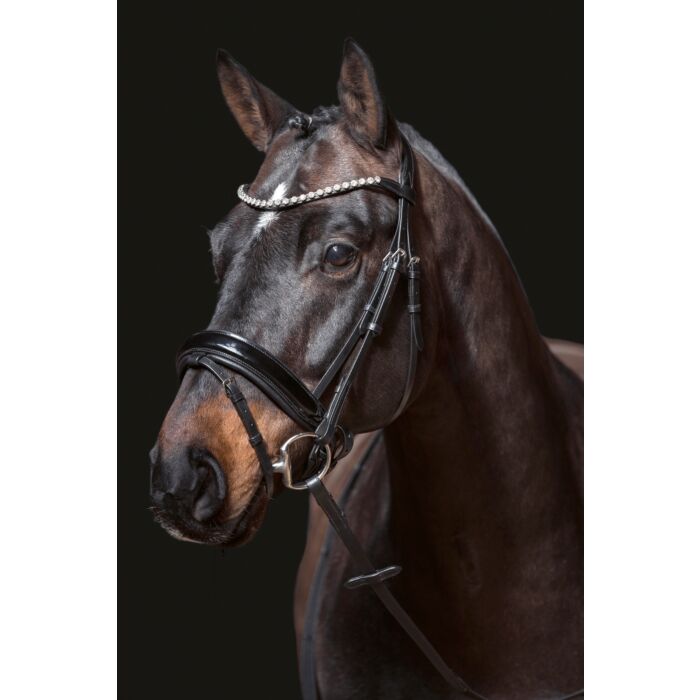 HKM Bridle - Fleur