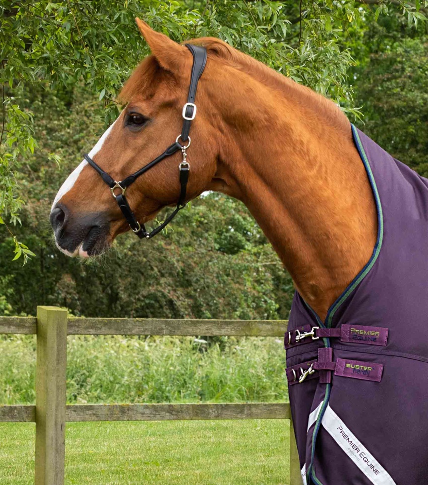 Premier Equine Buster Hardy 100g Half Neck Turnout Rug 7ft purple