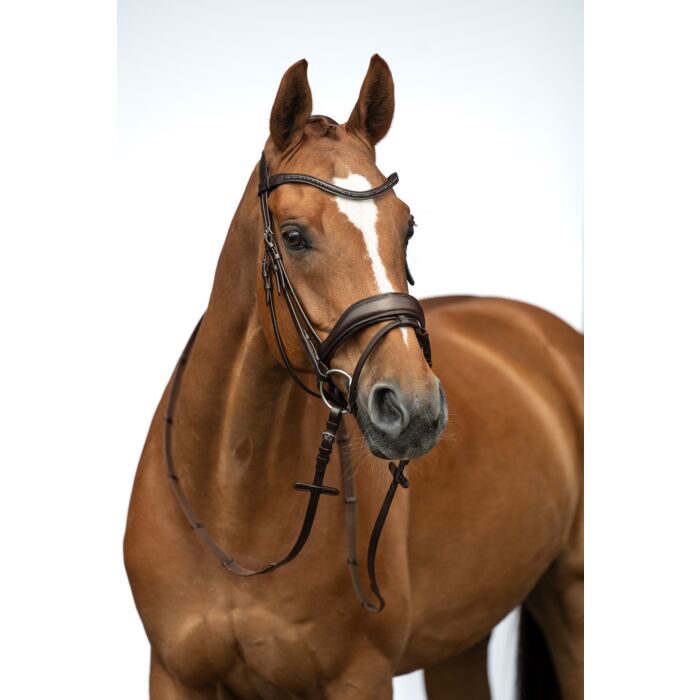 HKM Bridle - Ira