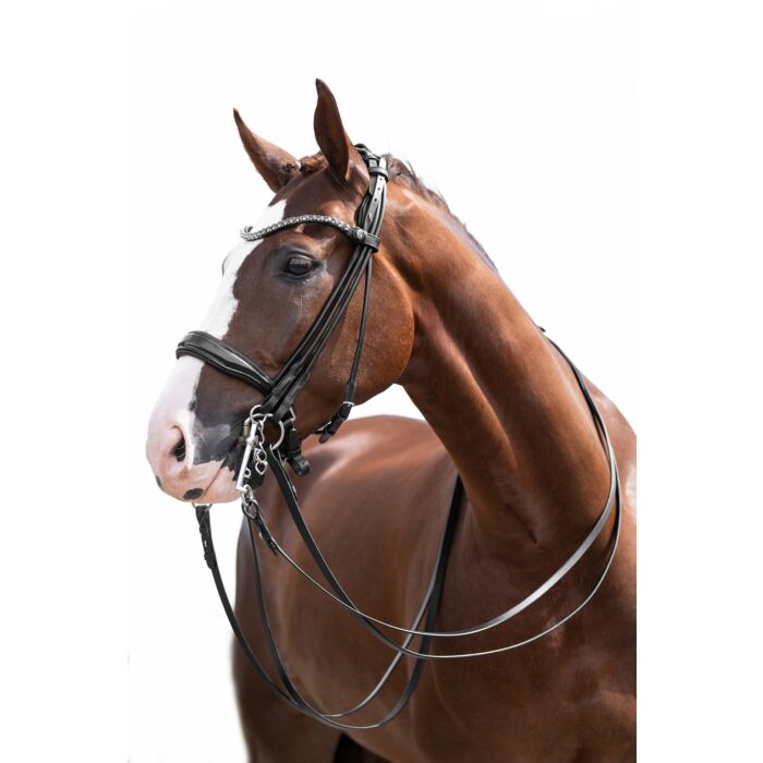 HKM Double Bridle - Kate