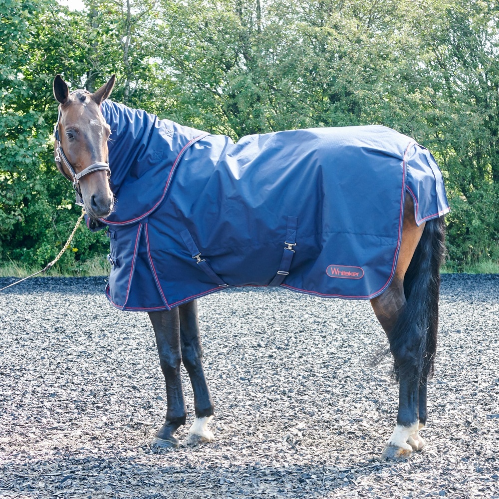 Whitaker Rastrick Turnout Rug Combo 250GM Navy