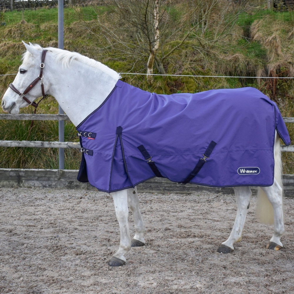 Whitaker Rastrick 0GM Turnout Rug