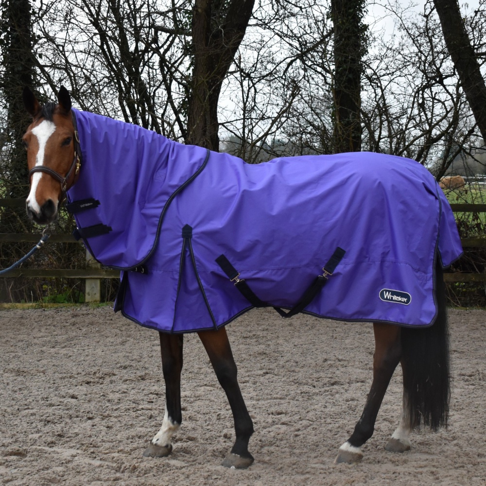 Whitaker Rastrick 0G Combo Purple Turnout Rug