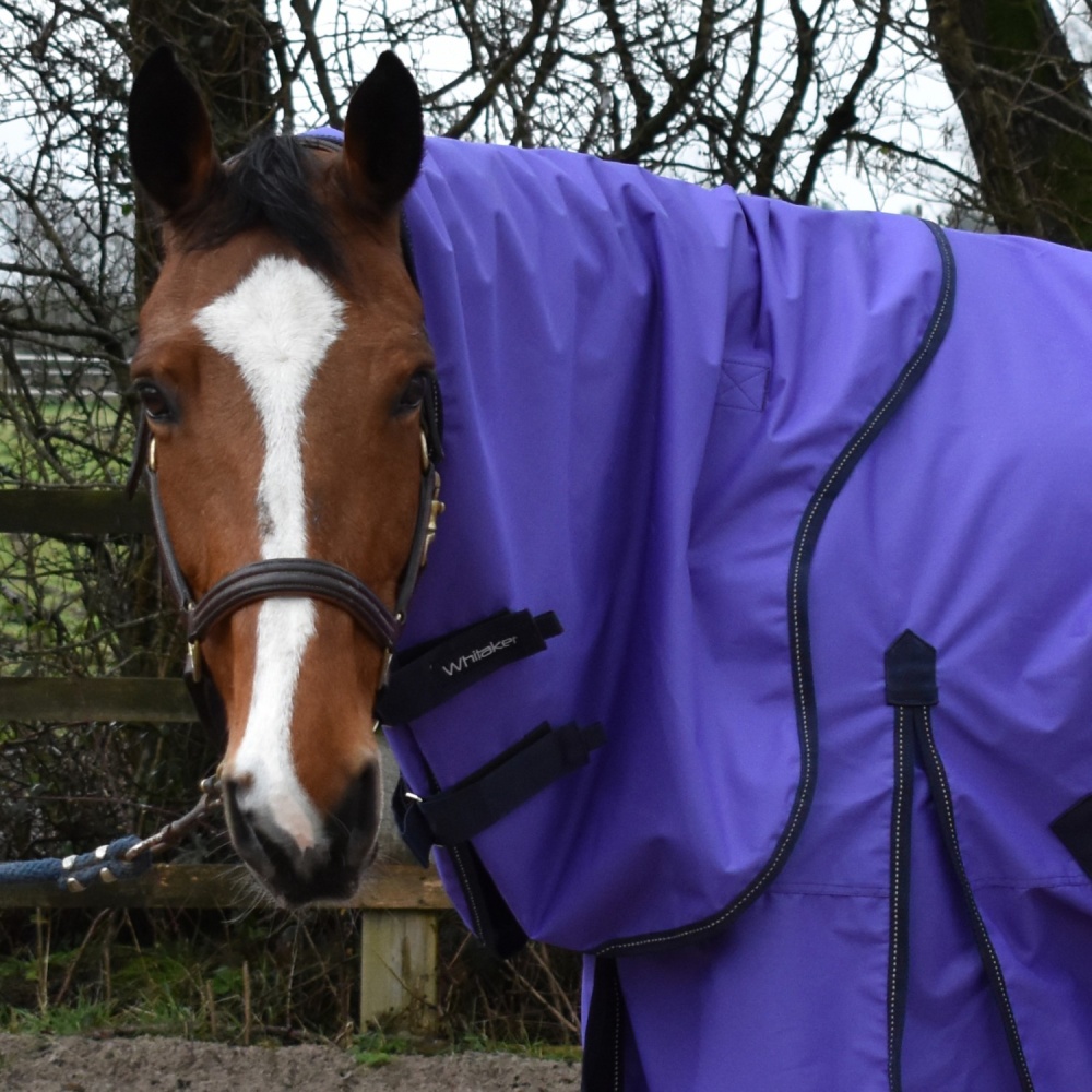 Whitaker Rastrick 0G Combo Purple Turnout Rug