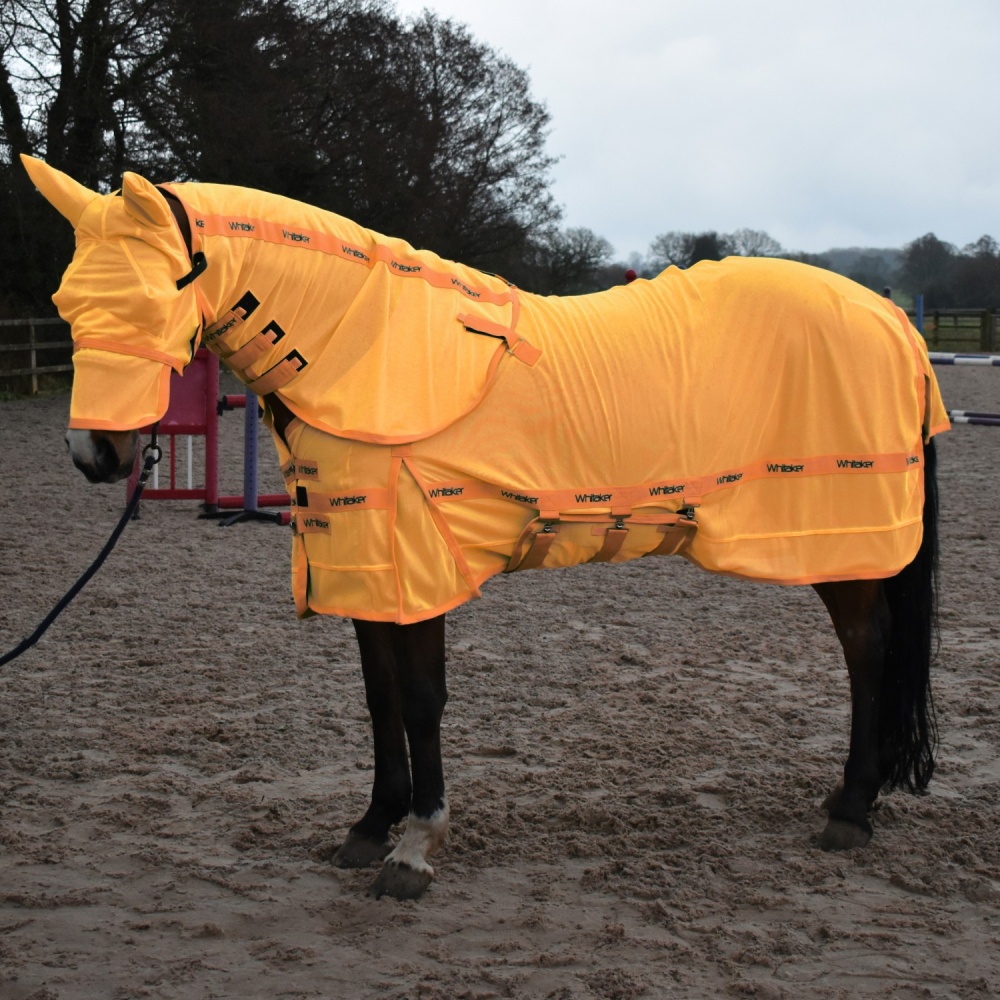 Whitaker Swot Fly Rug & Mask Orange