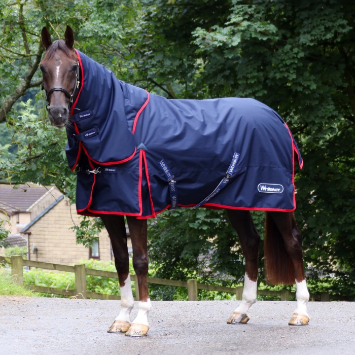 Whitaker Rastrick V2 250G Combo Turnout Rug