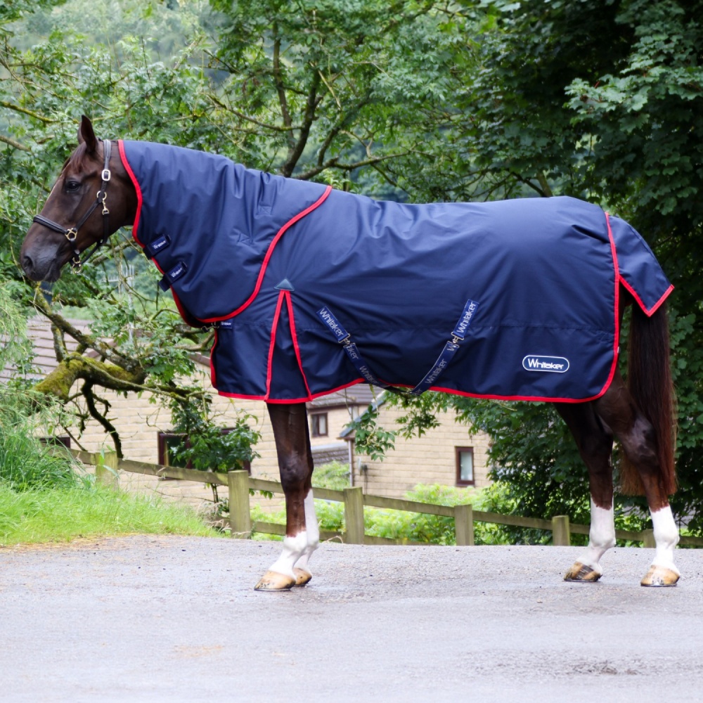 Whitaker Rastrick V2 250G Combo Turnout Rug