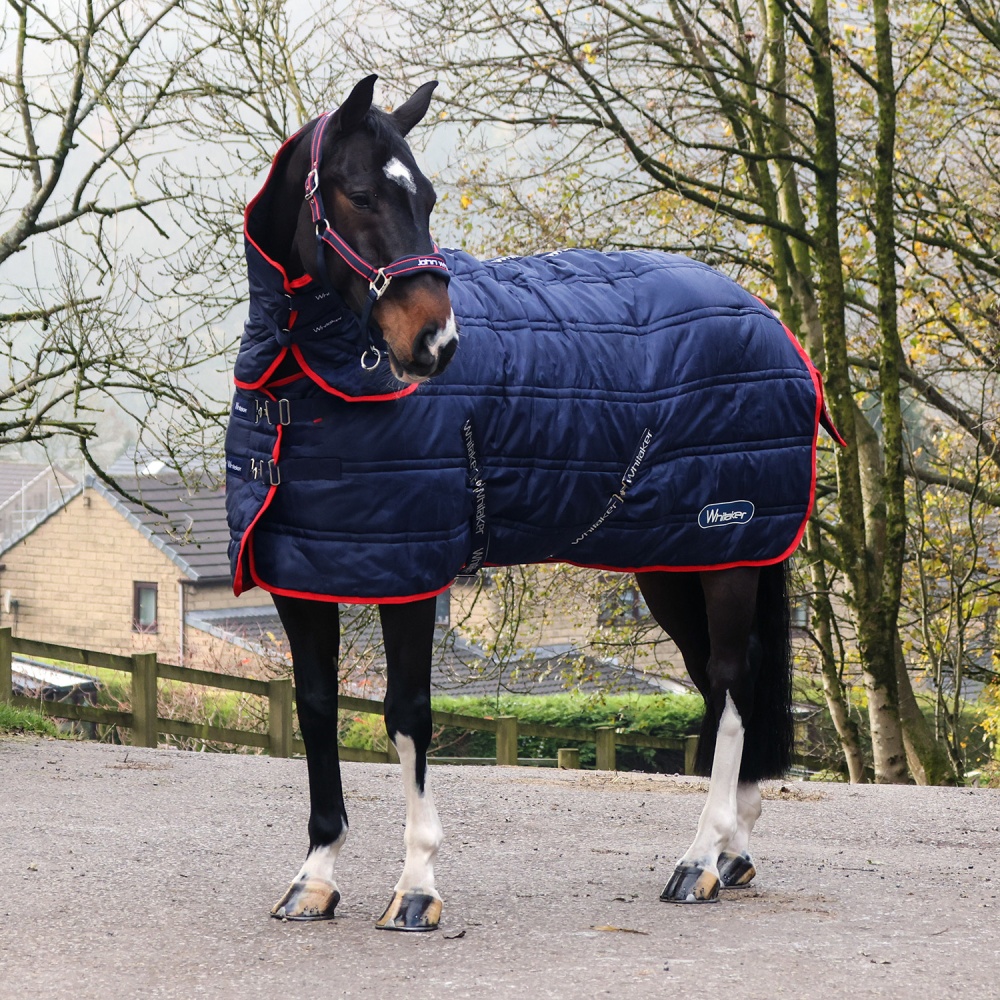 Whitaker Rastrick V2 250G Combo Stable Rug