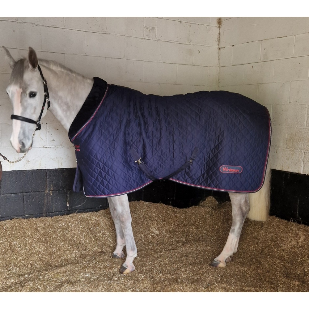 Whitaker Rastrick Cosy Stable Rug