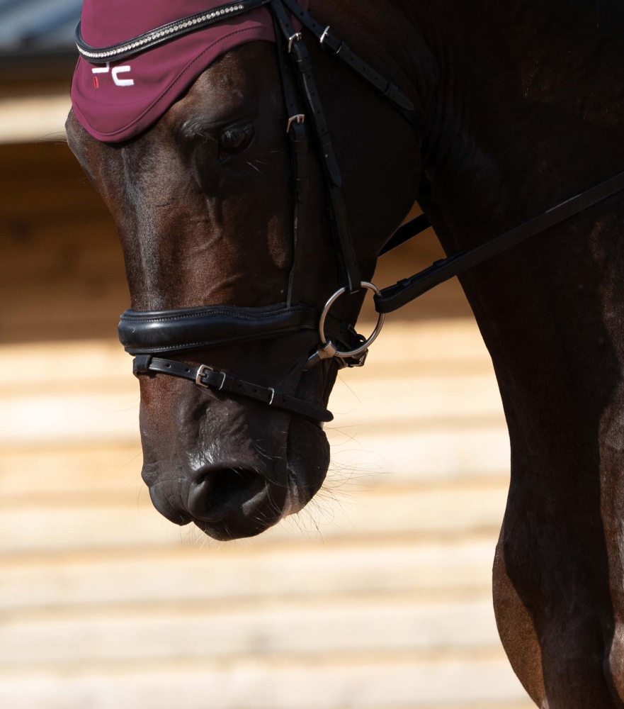 Premier Equine Blue Sweet Iron Loose Ring Snaffle with Brass Alloy Lozenze