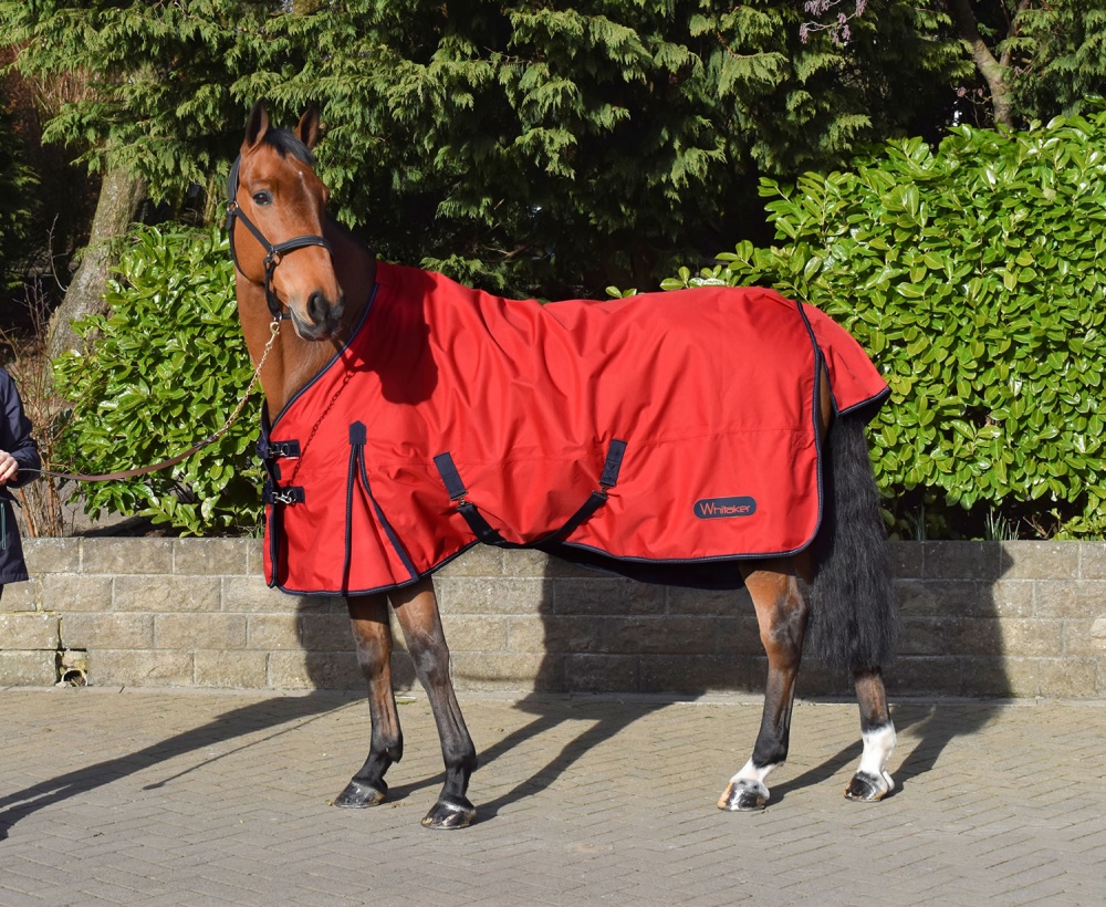 Whitaker Rastrick 0GM Red Turnout Rug