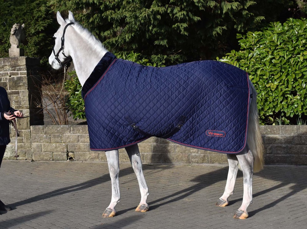 Whitaker Rastrick Cosy Stable Rug