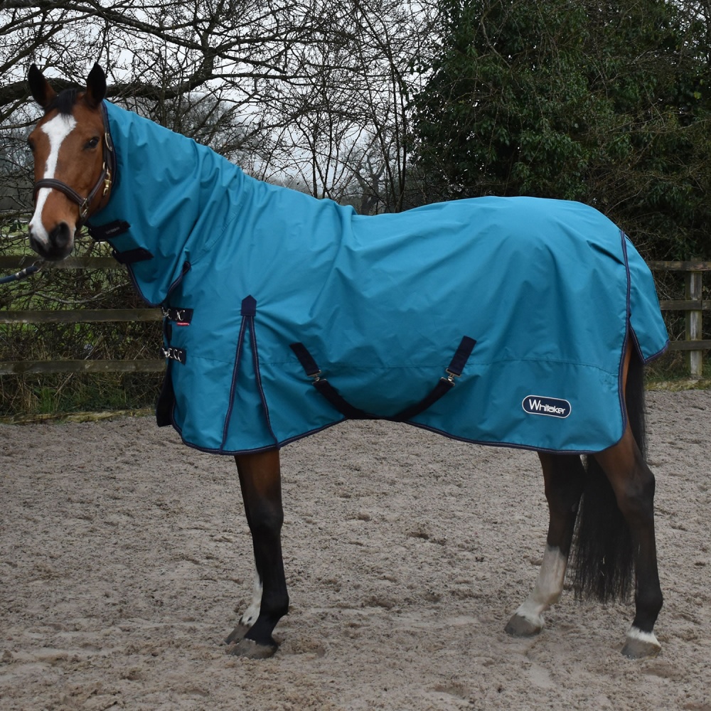 Whitaker Rastrick 0G Turquoise Turnout Rug with Neck