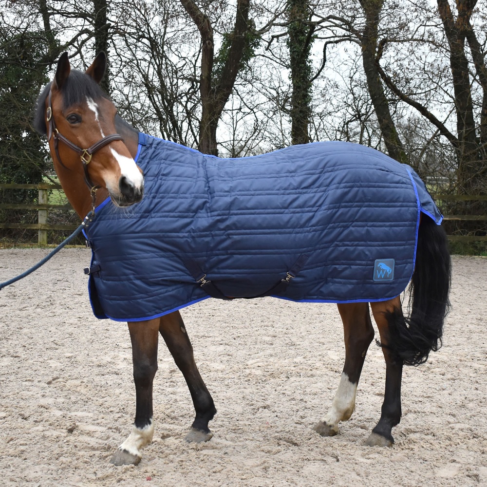 Whitaker Pippa 100GM Stable Rug