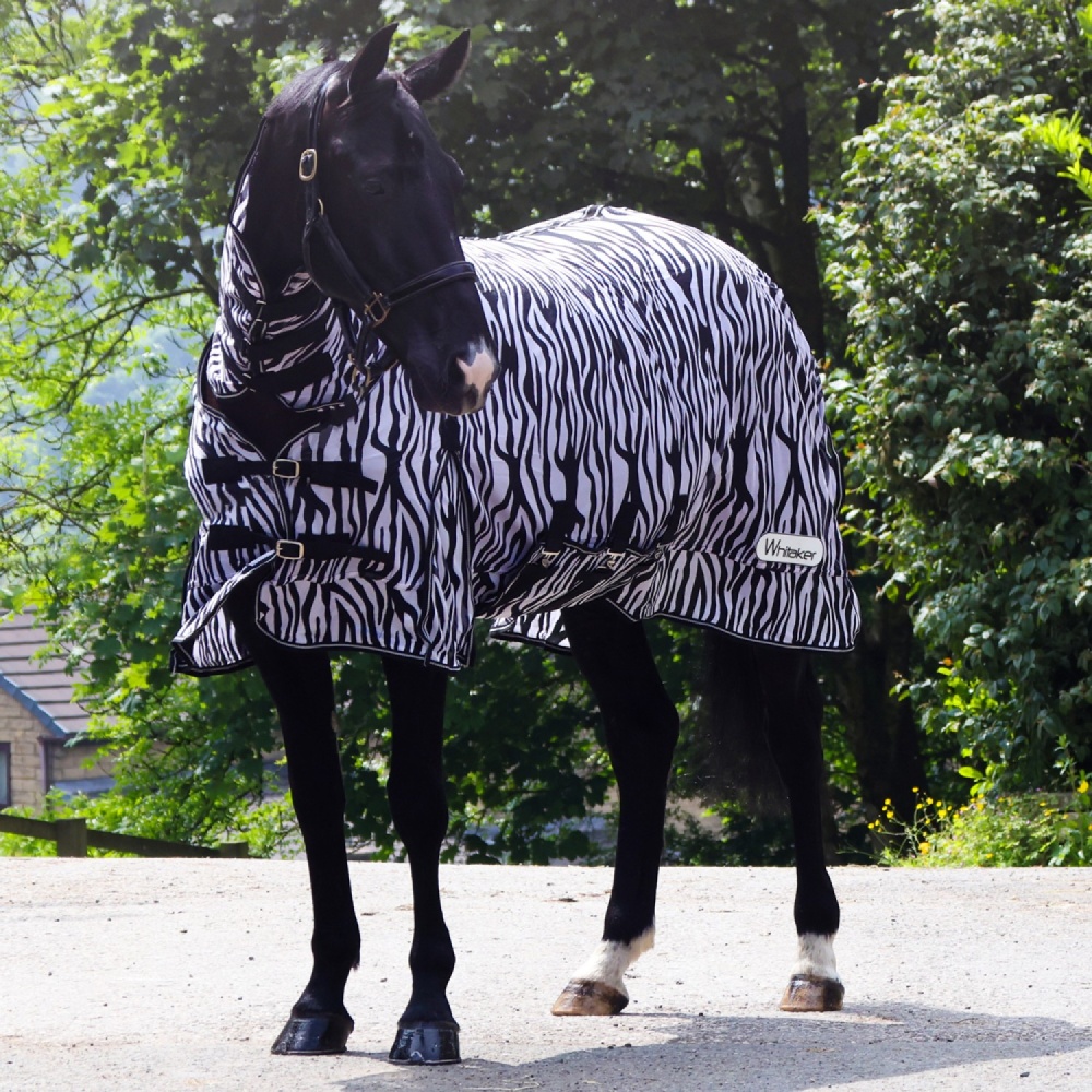 Whitaker Marwell Zebra Fly Rug with neck and belly flap