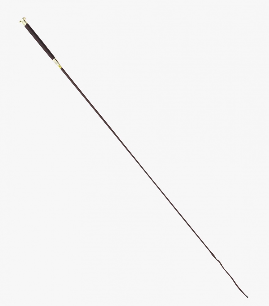 Premier Equine Deruta Dressage Whip