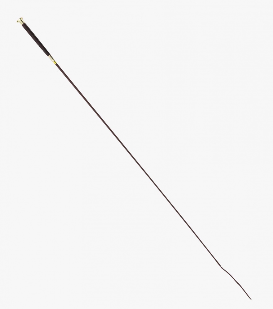 Premier Equine Erula Dressage Whip