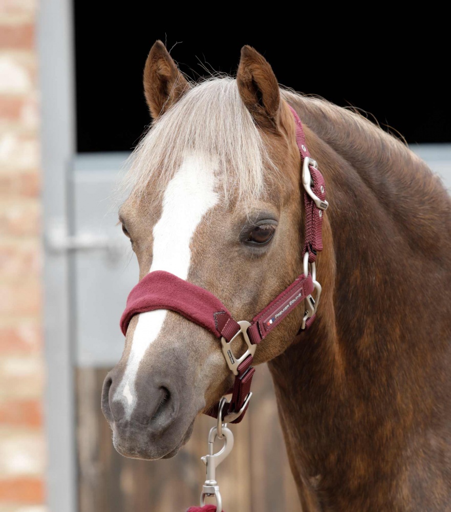 Premier Equine Fleece Padded Pony Head Collar