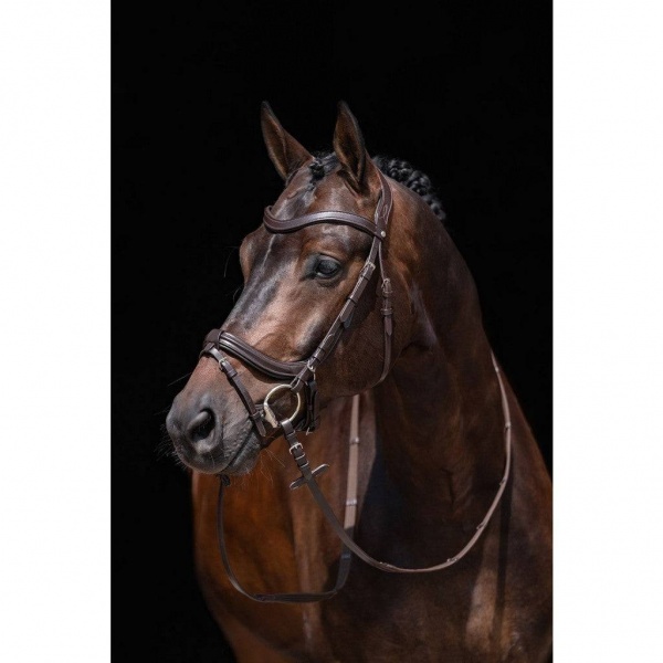 HKM Bridle -Anatomic-