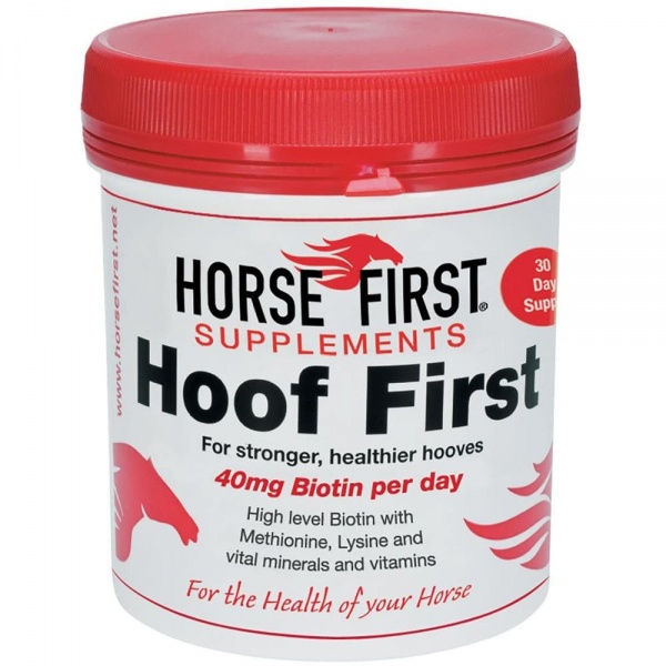 Horse First Hoof First