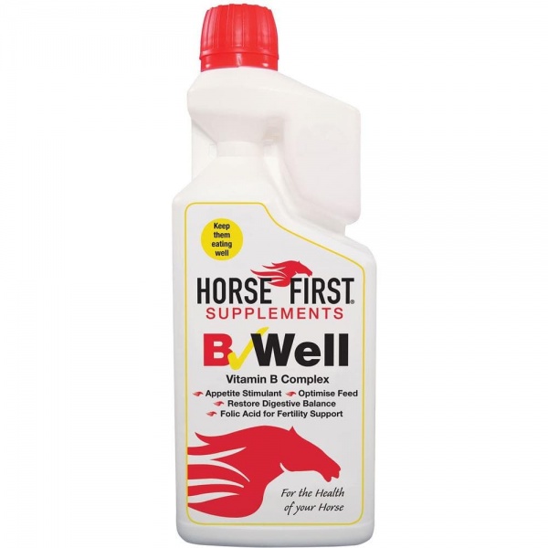 Horse First B Well