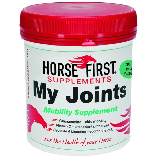 Horse First my Joints