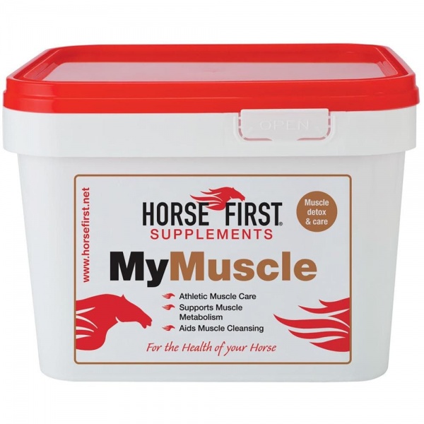 Horse First My Muscle