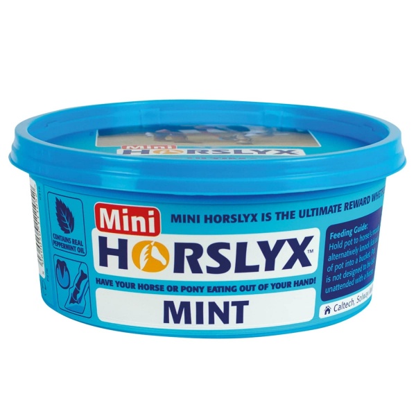 Horslyx Mint Balancer