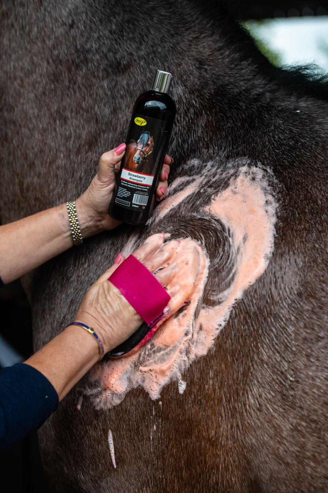 Smart Grooming Red Strawberry Shampoo