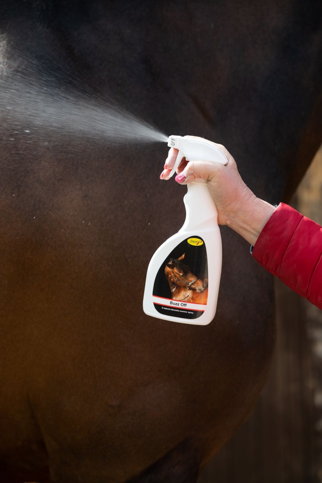 Smart Grooming Buzz Off