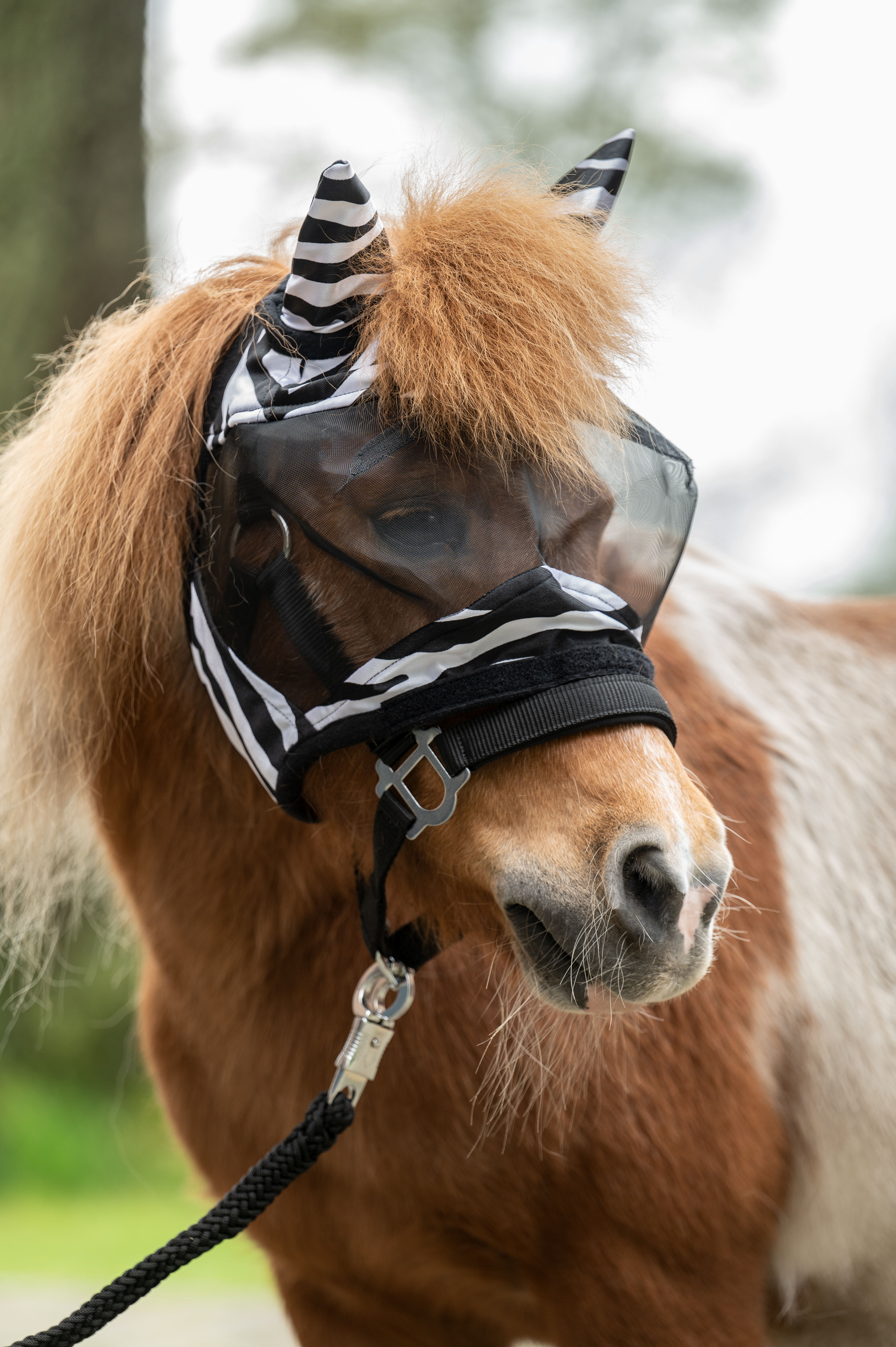 HKM Anti-Fly Mask - Zebra - Shetty