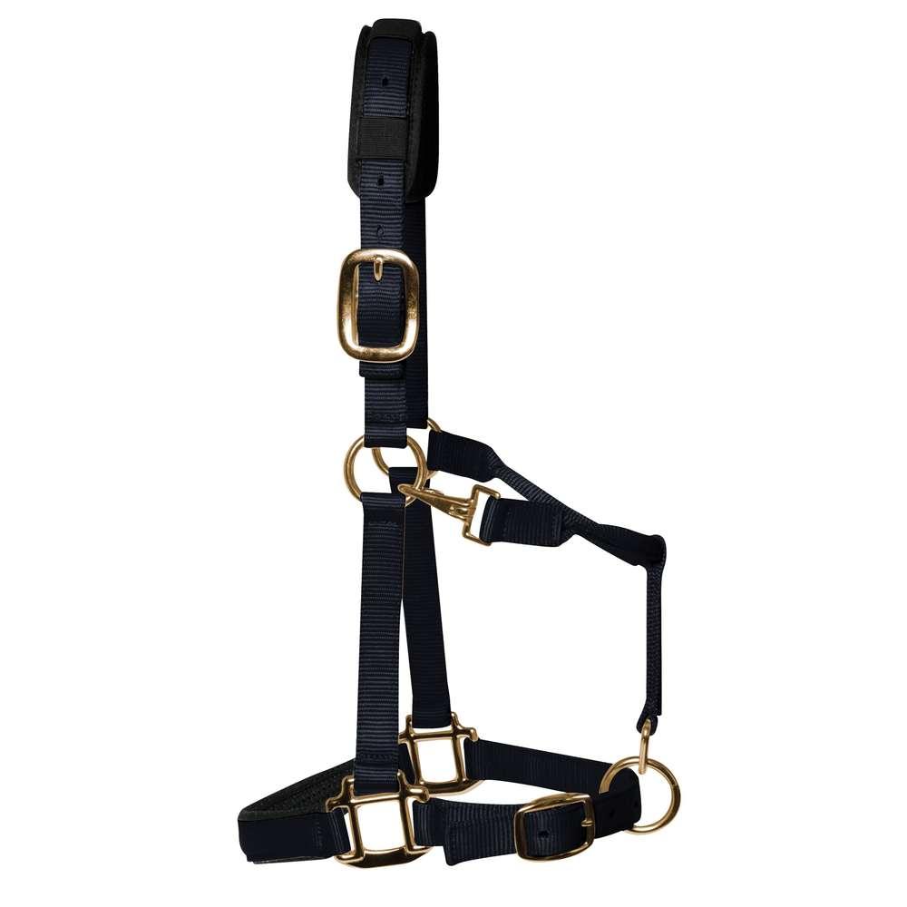 KM Elite Padded Headcollar