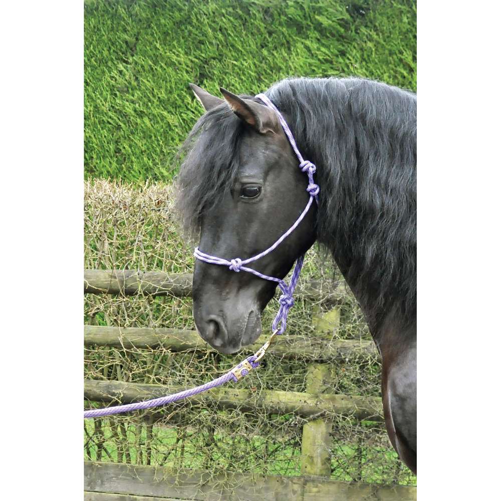 KM Elite Rope Halter